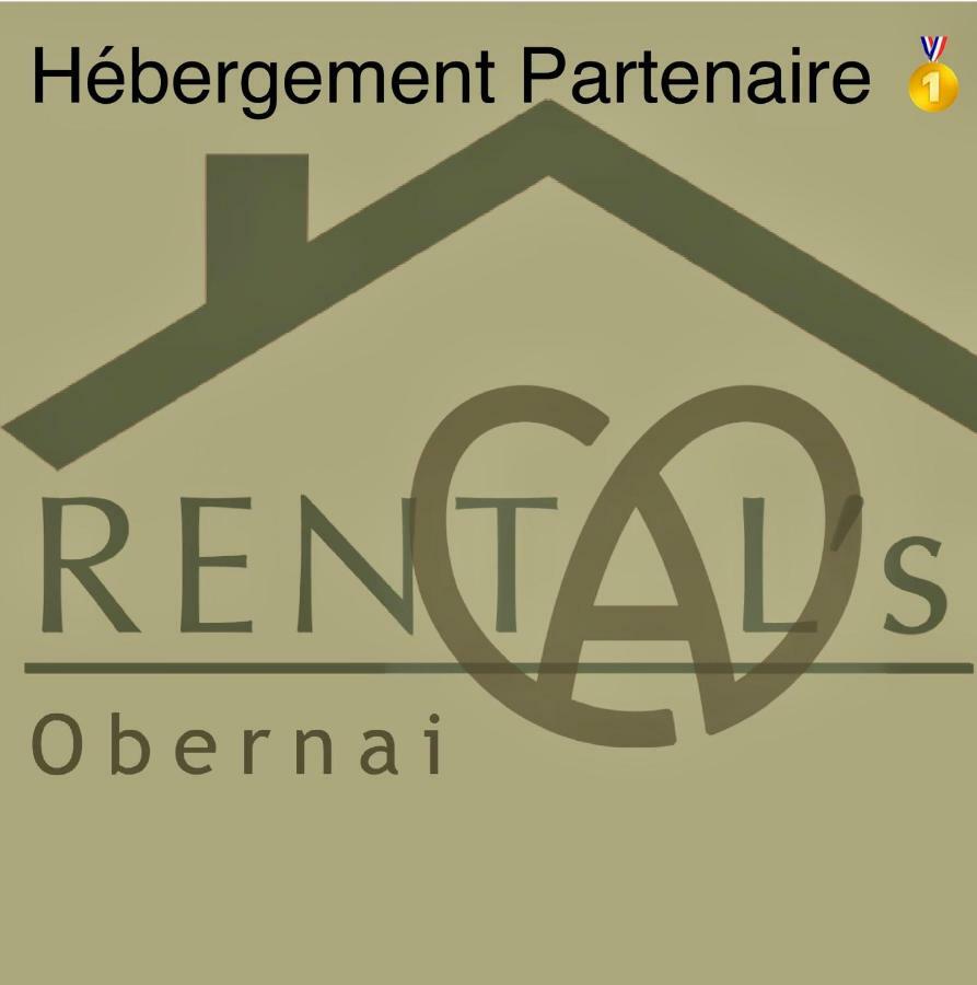 Le Relais D Obernai Apartment Екстериор снимка